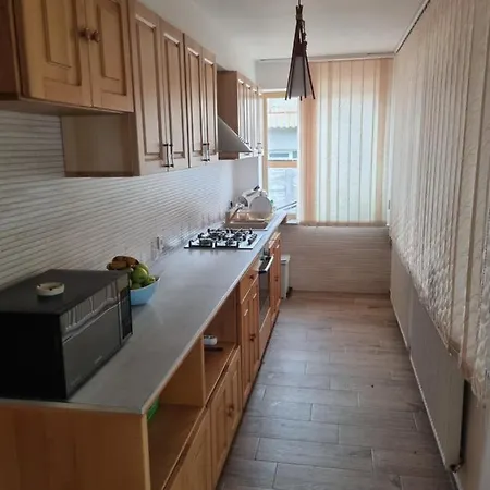 Casa Voinea Guest house