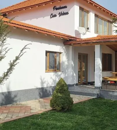 Guest house Casa Voinea *